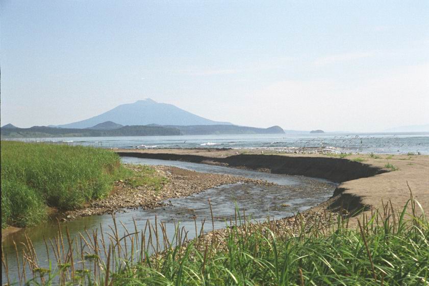 ������ ������ �� ��������� ��������� ����