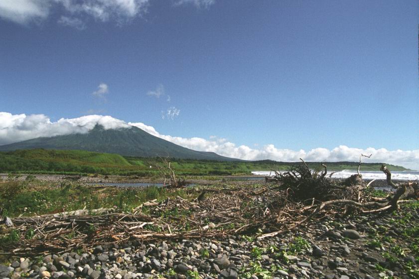 ���� ��������� � ����