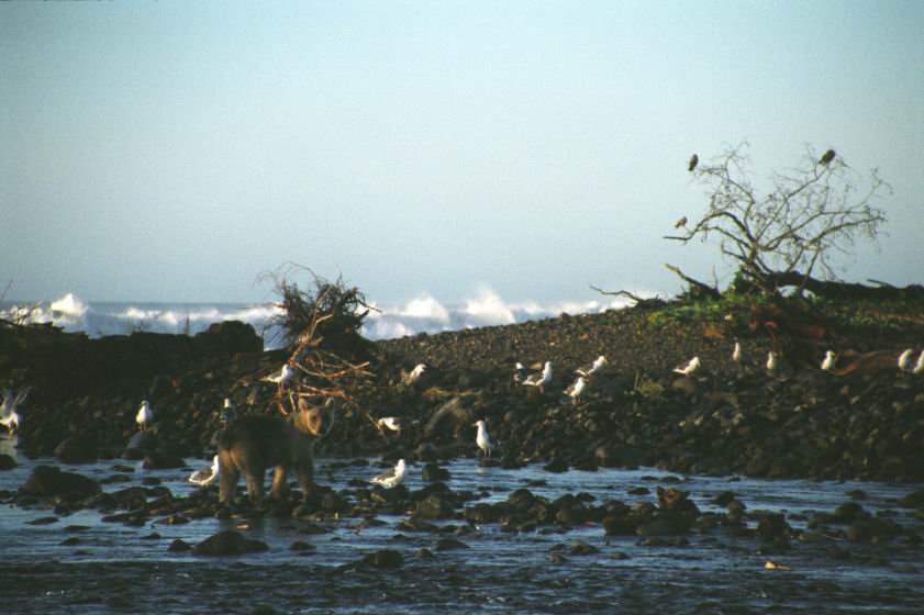 ������������