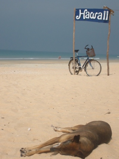 india_0809_122.jpg