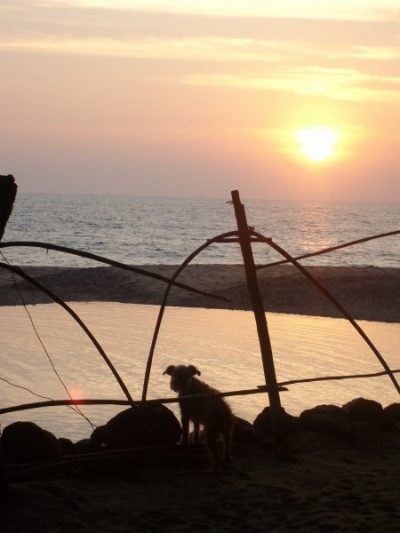 india_0809_282.jpg