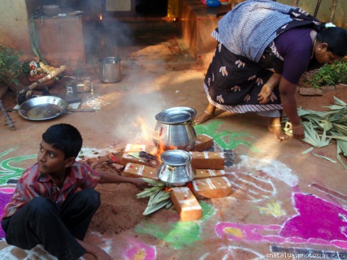 pongal1.jpg