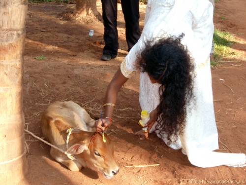 pongal2.jpg