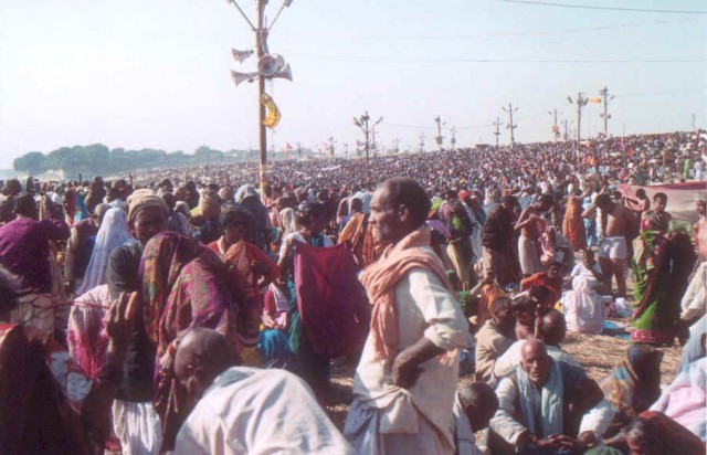 mela5.jpg