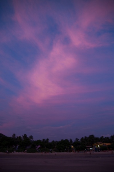 IMGP3683.jpg
