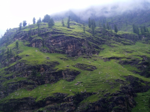 Way_to_Solang_Nullah.jpg