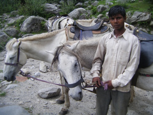Horse_whisperer.jpg