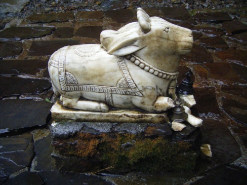 Nandi.jpg