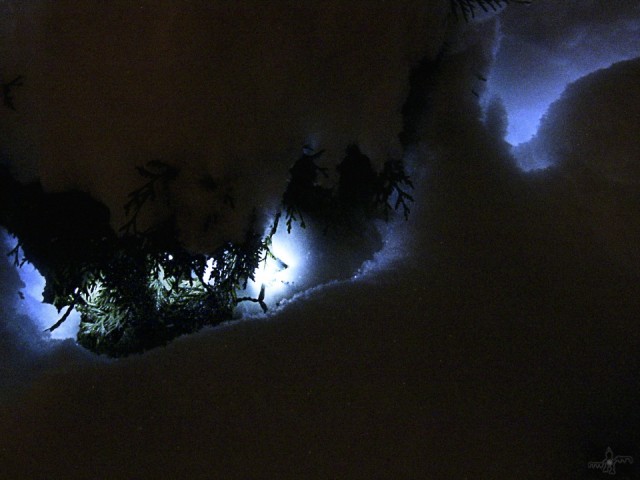 blue crevice