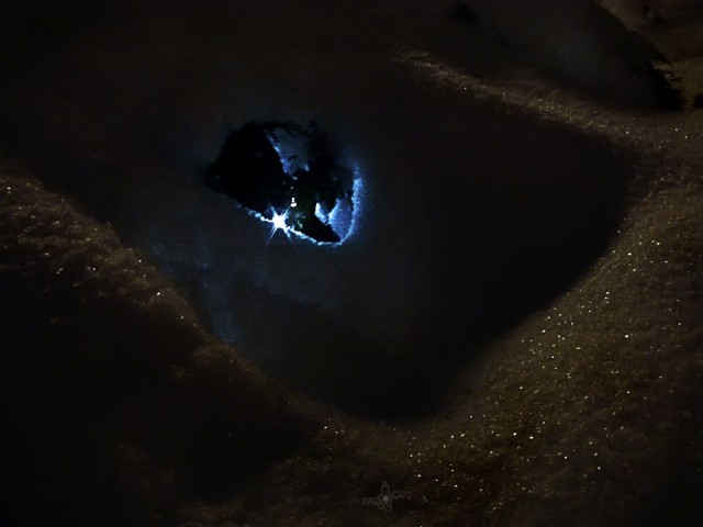 blue eye