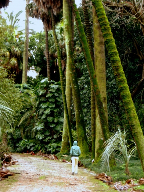 JARDIM BOTÂNICO