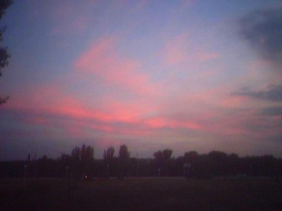 �����������..full of rose