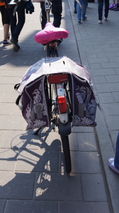 DSC02859.JPG