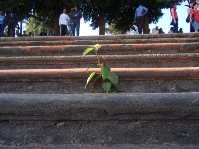 P1073446.JPG