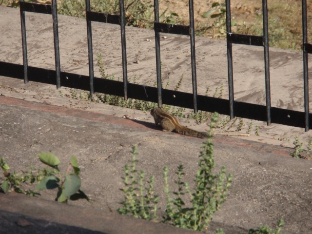 P1073447.JPG