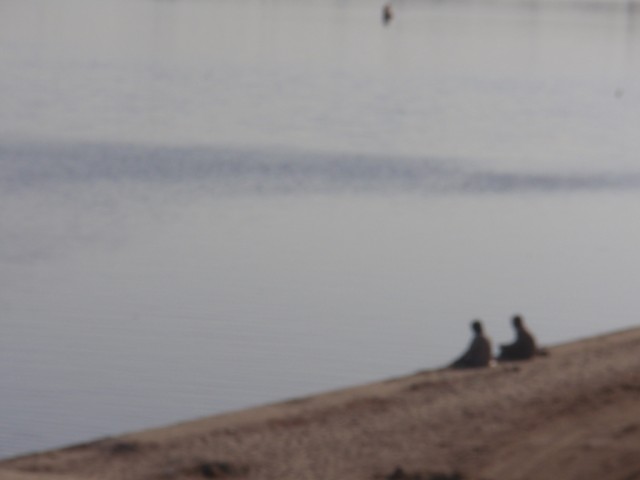 P1073455.JPG
