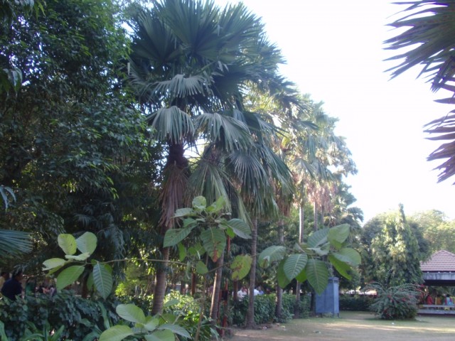 P1073458.JPG