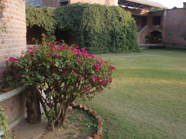 P1053363.JPG