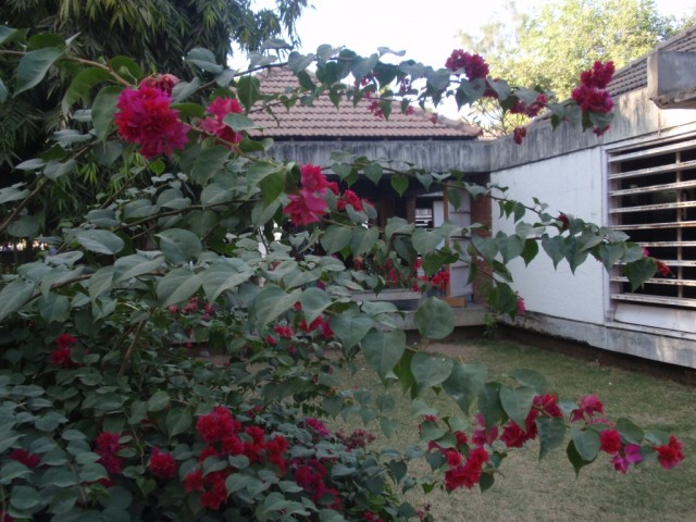 P1073467.JPG