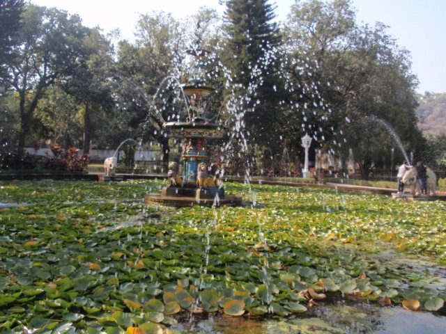 P1253873.JPG