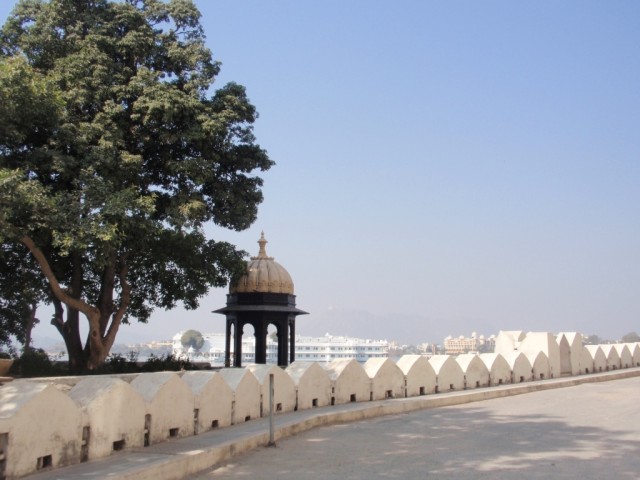 P1253911.JPG