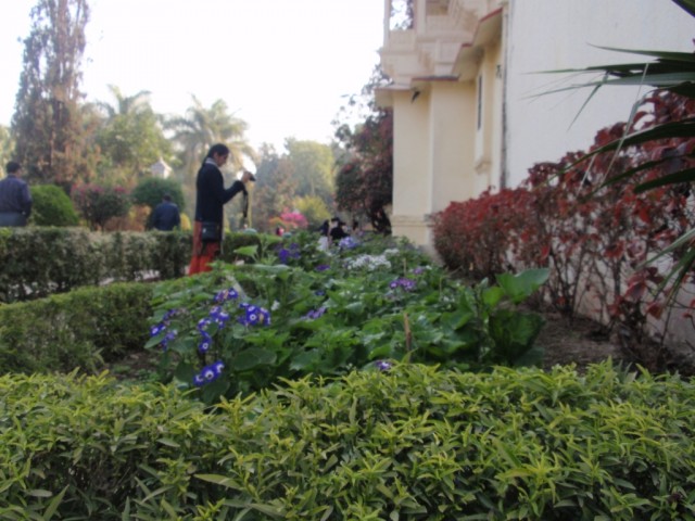 P1253877.JPG