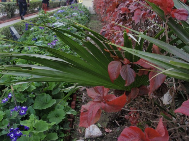 P1253878.JPG