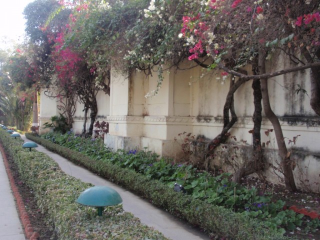 P1253882.JPG
