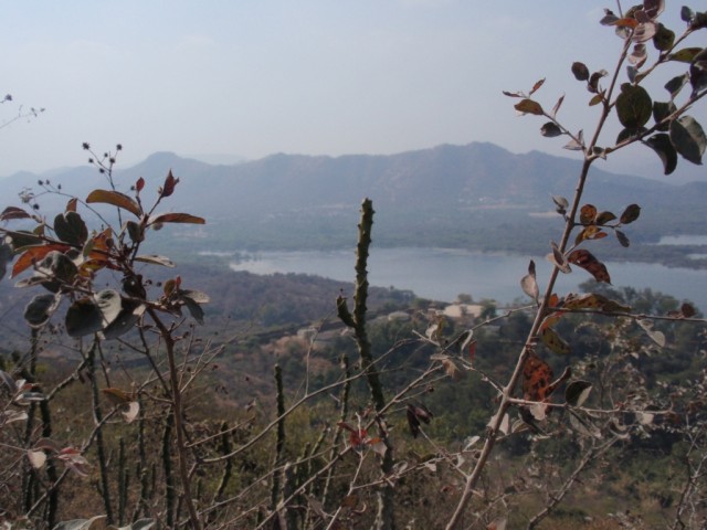P1264029.JPG
