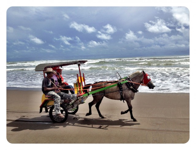 Ocean trip_06
