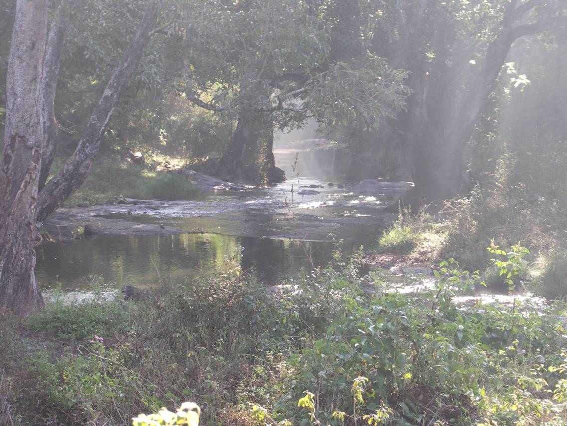 Национальные парки Индии