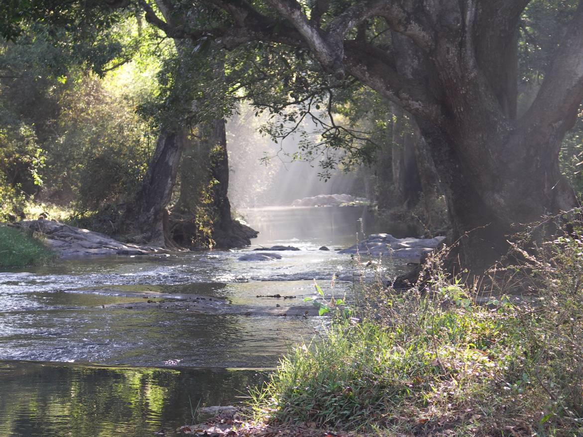 Национальные парки Индии