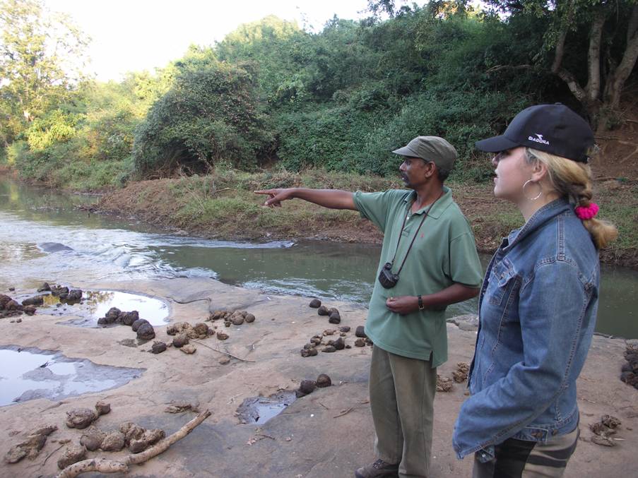 Национальные парки Индии