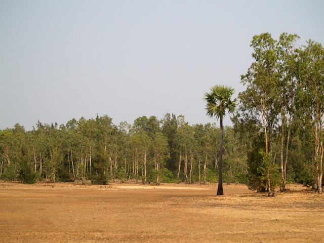 JK151659.jpg