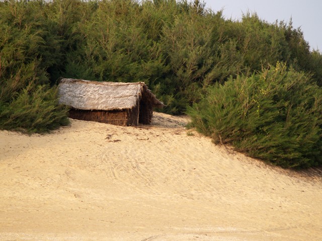 JK151723.jpg