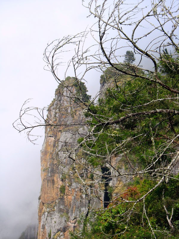 �����-������� (Pillar Rocks
