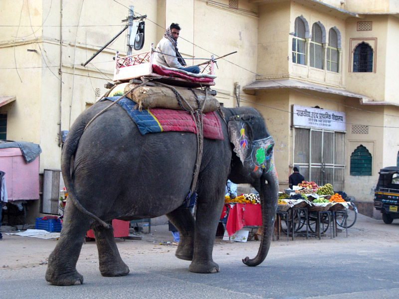 По Индии. Правда ли что в раджастане пересохли озера?