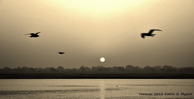 varanasi_20102.JPG varanasi_20102.JPG