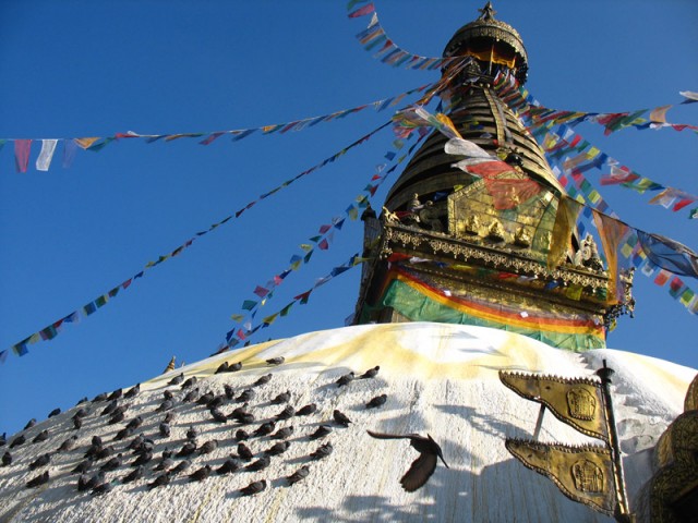 ����� ���������� � ��������