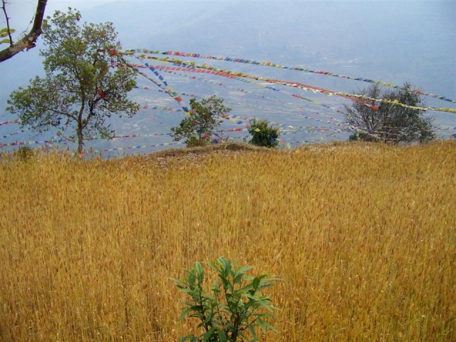 100_1778.JPG