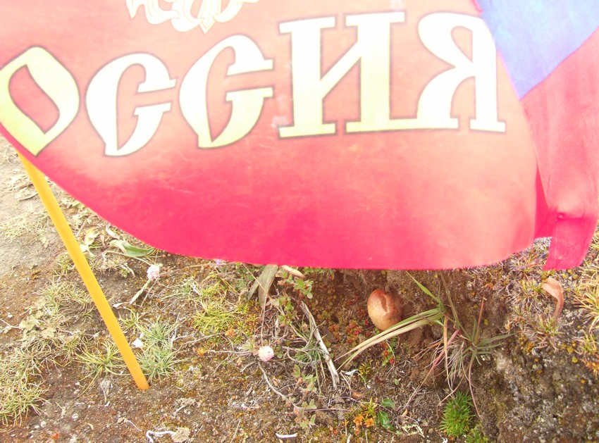 "Подножный корм" в Непале