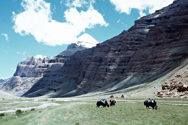 kailash3.jpg