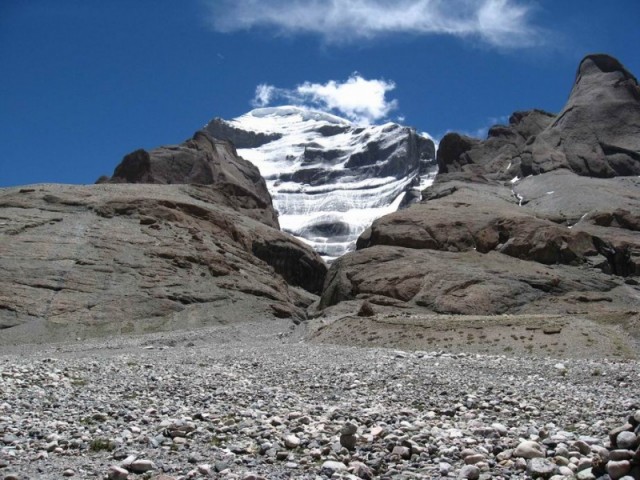IMG_0950.jpg